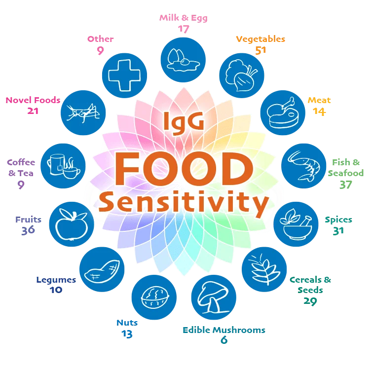 IgG Food Explorer™ IgG Food Explorer™