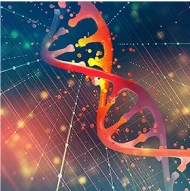 Technology Technology