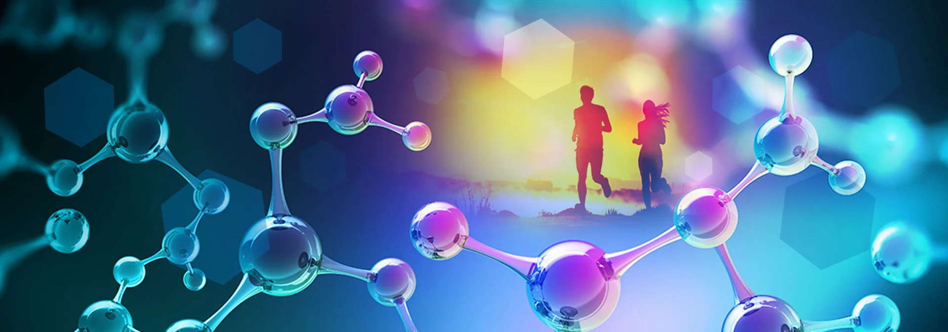 OMX - Organic Metabolomics OMX - Organic Metabolomics